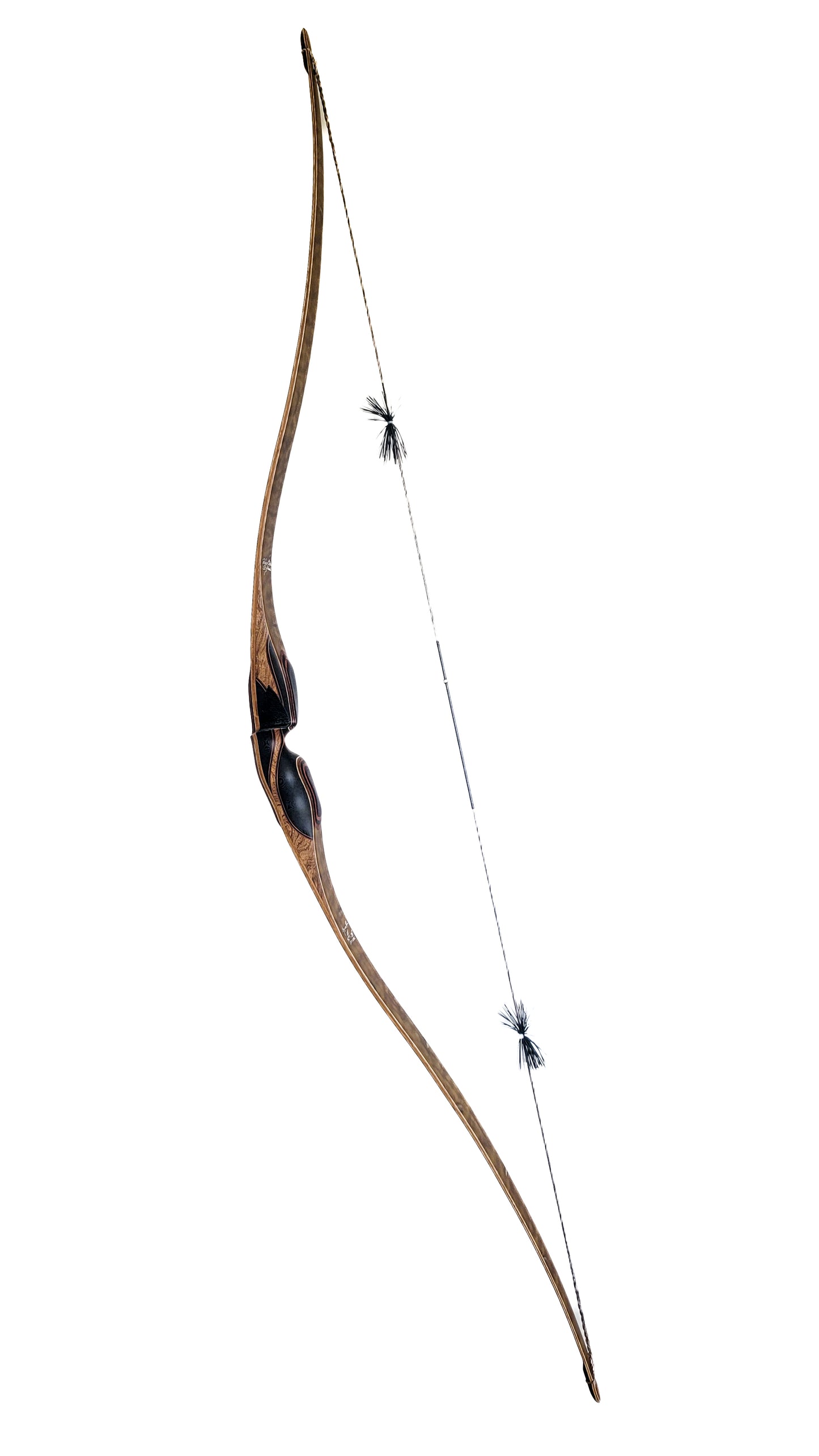 CoyWolf Hybrid Longbow | 60" 46# | CW-W82